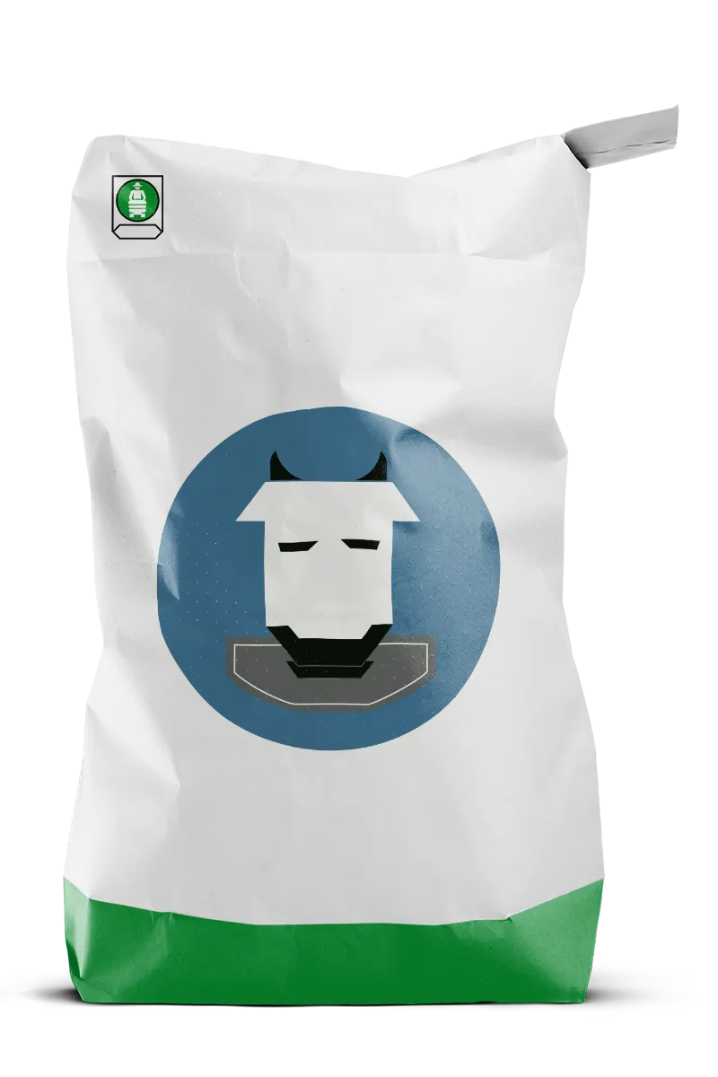 Mockup Ventilsack Kuh